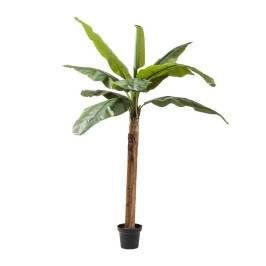 Deco boom bananenboom 