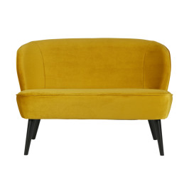 Fluwelen 2-zitsbank